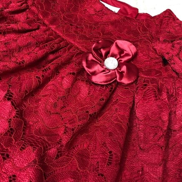 Pippa & Julie Pastourelle Flower Lace Dress Long Sleeve Formal Wedding Victorian - Picture 1 of 10